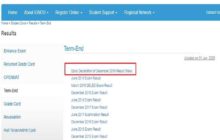 टर्म-इंड एग्जाम 2019 के परिणाम जारी