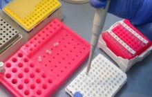 चीन ने डेवलप की नई किट, मात्र 29 मिनट में हो जाएगा कोरोनावायरस का टेस्ट