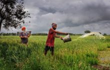 किसानों के लिए राहत भरी खबर, अब फसल ऋण पर मई तक मिलता रहेगा ब्याज छूट का लाभ