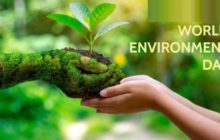 World Environment Day आज: जानिए, इस दिन से जुड़ी ये खास बातें